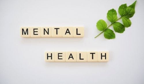 Key changes in the workplace to support employee mental health - Niki Fuchs in HR Review