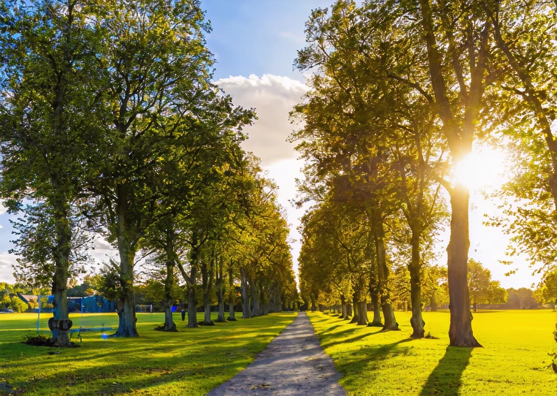 49fd0acfef4356b985ae87f681a9dc26860a9d7b