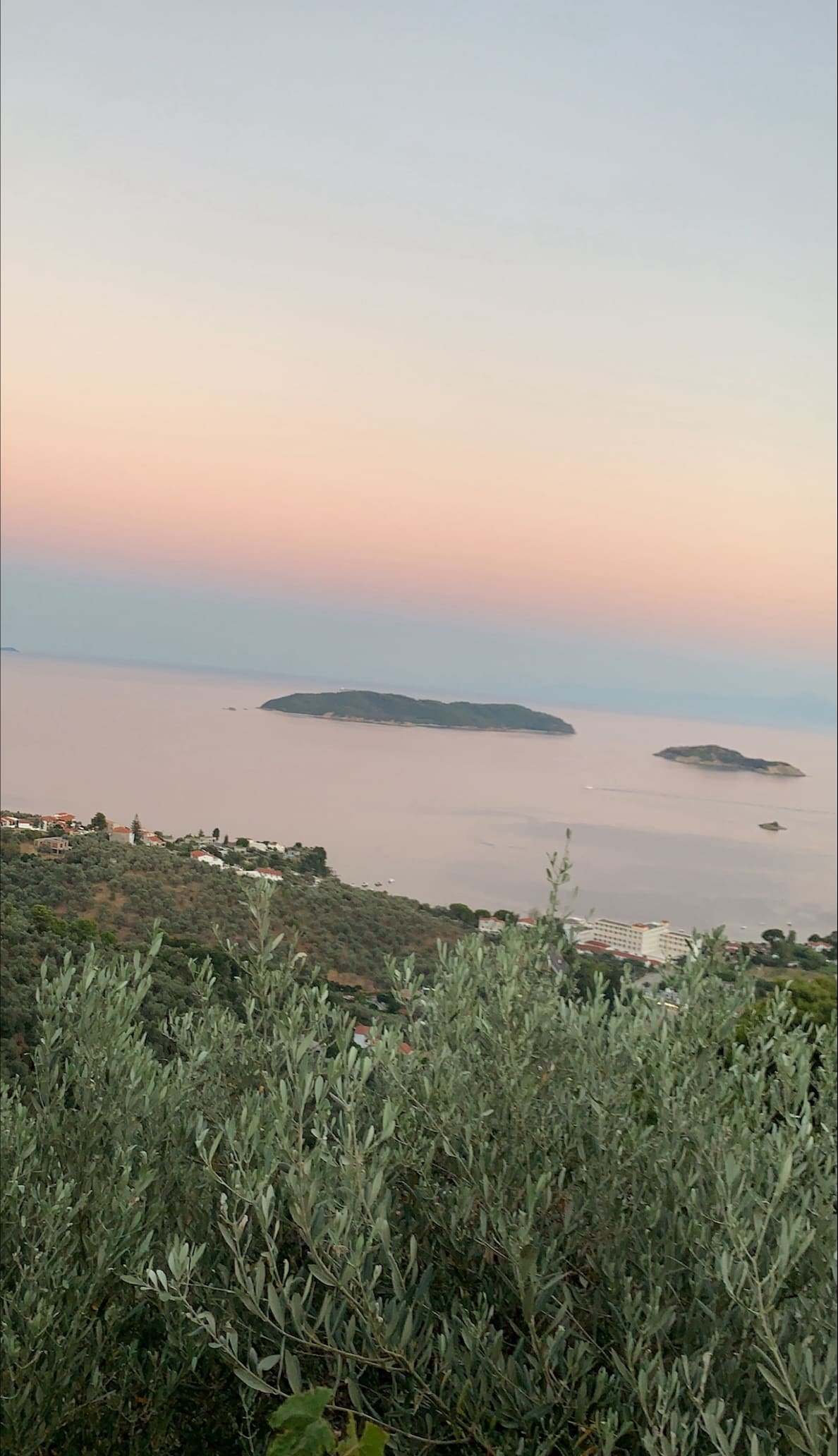 processed-4C60AAA3-16DF-48FD-BB9E-3025FED525C7