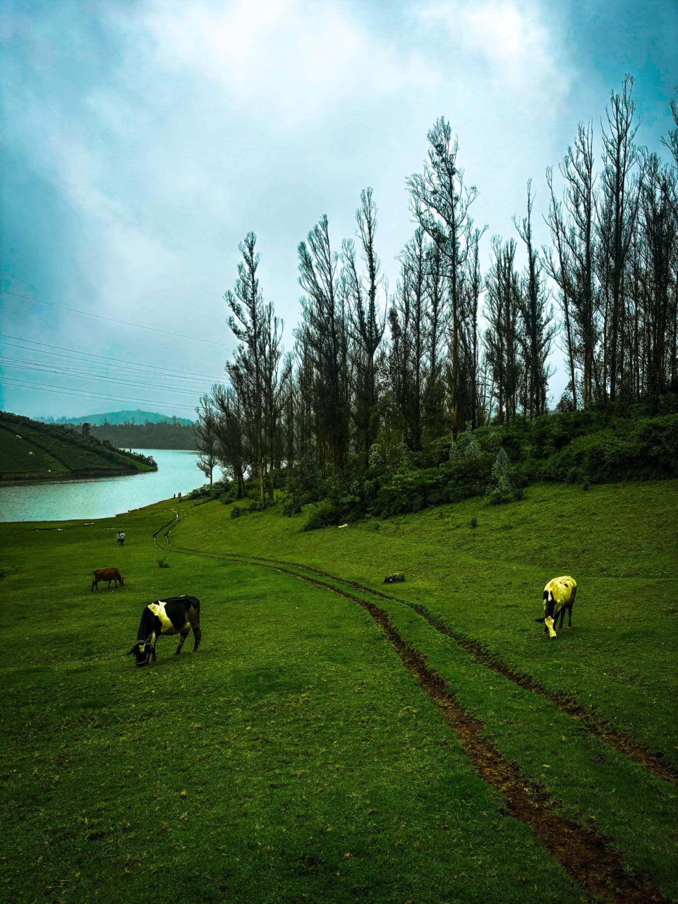 6f3b911c-d072-48b7-b61f-4b3ae6f0ef30