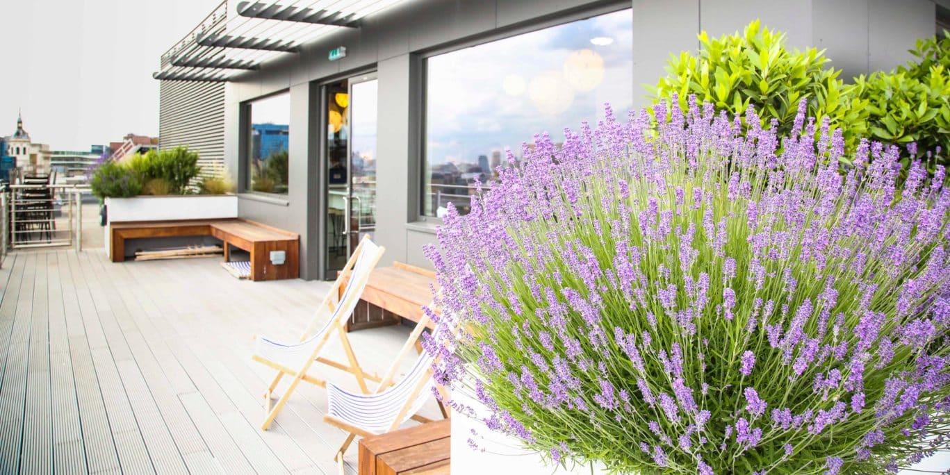 The premium outdoor event space at Office Space in Town Monument, showcasing The Deck’s sophisticated maritime lounge furniture and high-end boutique hospitality setting for corporate social events in EC3R.