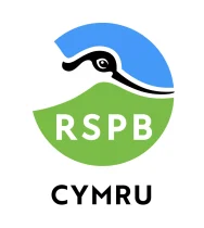 RSPB Office Space in Town