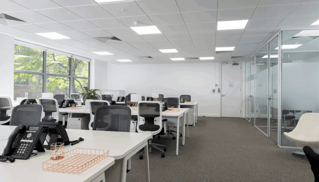 Show Office 2