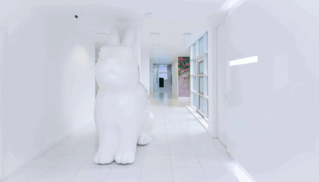 White Rabbit